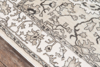 Momeni Carroll Gardens CG-02 Ivory Area Rug Close up