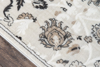 Momeni Carroll Gardens CG-04 Ivory Area Rug Close up