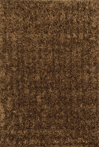 Loloi Carrera Shag CG-01 Brown Area Rug main image