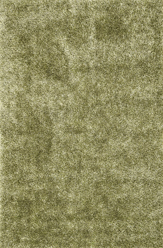 Loloi Carrera Shag CG-01 Green Area Rug main image