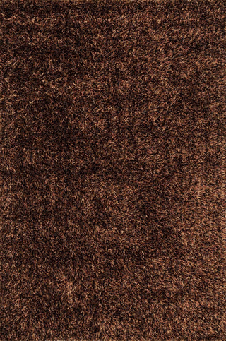 Loloi Carrera Shag CG-02 Cinnamon Area Rug Main