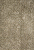 Loloi Carrera Shag CG-02 Gold/Silver Area Rug main image