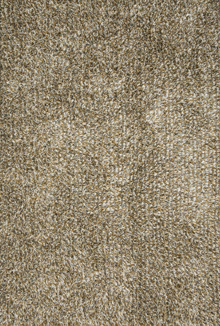 Loloi Carrera Shag CG-02 Gold/Silver Area Rug main image