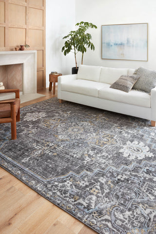 Loloi II Cassandra CSN-02 Charcoal/Gold Area Rug Lifestyle Image Feature