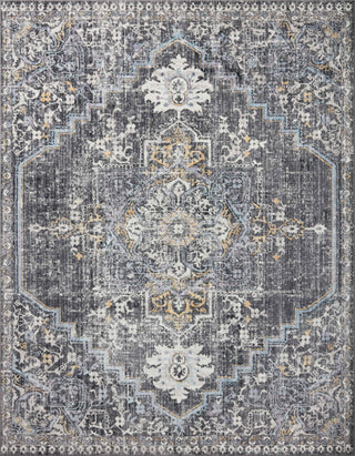 Loloi II Cassandra CSN-02 Charcoal/Gold Area Rug Main Image