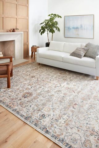 Loloi II Cassandra CSN-03 Dove/Navy Area Rug Lifestyle Image Feature