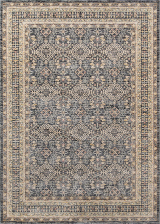 Momeni Caspian CAP-1 Grey Area Rug main image