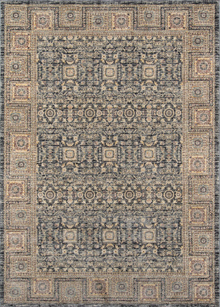 Momeni Caspian CAP-4 Grey Area Rug main image