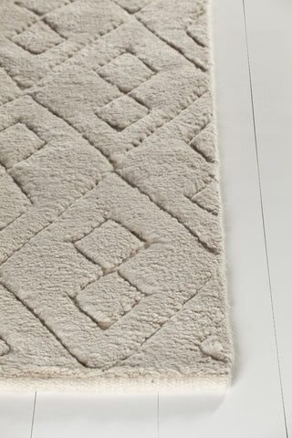 Chandra Catalina CAT-45102 White Area Rug Corner Shot