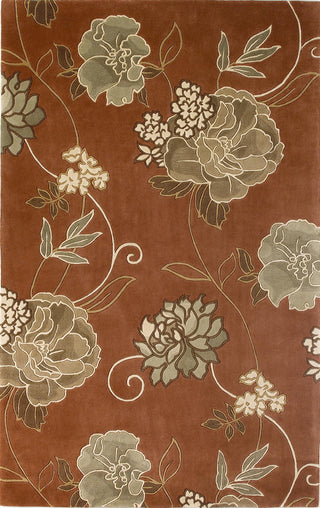 KAS Catalina 0799 Sienna/Sand Paradise Area Rug main image