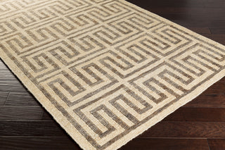 Surya Columbia CBA-112 Grey Hand Woven Area Rug 5x8 Corner