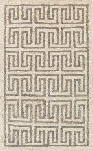 Surya Columbia CBA-116 Light Gray Area Rug 5' x 8'