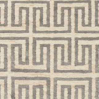 Surya Columbia CBA-116 Light Gray Hand Woven Area Rug Sample Swatch