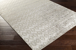 Surya Castlebury CBY-7004 Area Rug 5x8 Corner Feature