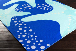 Surya Cape Cod CCD-1000 Cobalt Machine Loomed Area Rug Corner Shot