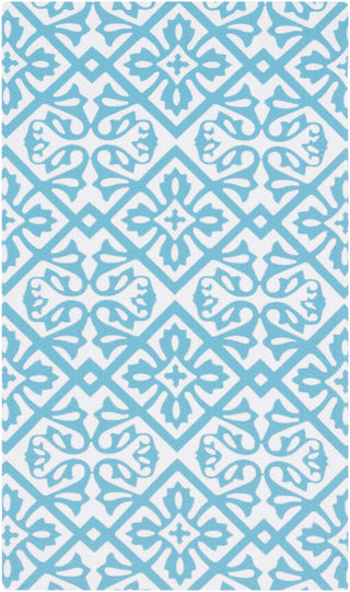 Surya Cape Cod CCD-1010 Aqua Area Rug 2' x 3'