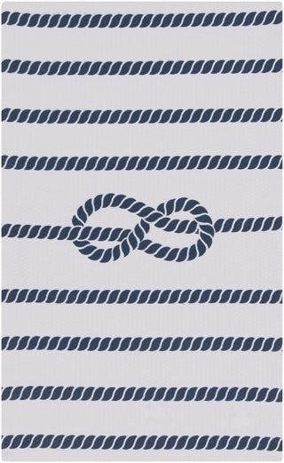 Surya Cape Cod CCD-1018 Navy Area Rug 4' x 6'