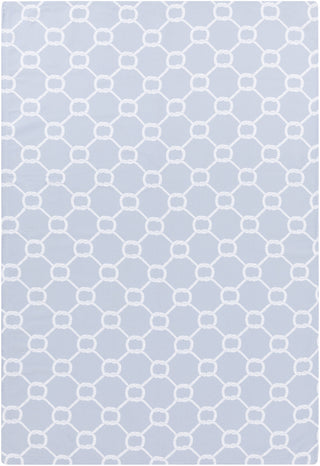 Surya Cape Cod CCD-1037 Sky Blue Area Rug 2' x 3'