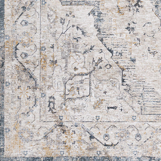 Surya Cardiff CDF-2303 Area Rug by Artistic Weavers Close Up