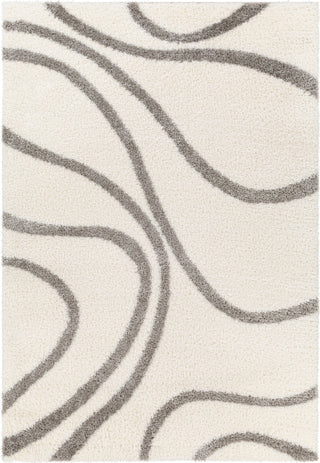 Surya Cloudy shag CDG-2300 Area Rug main image