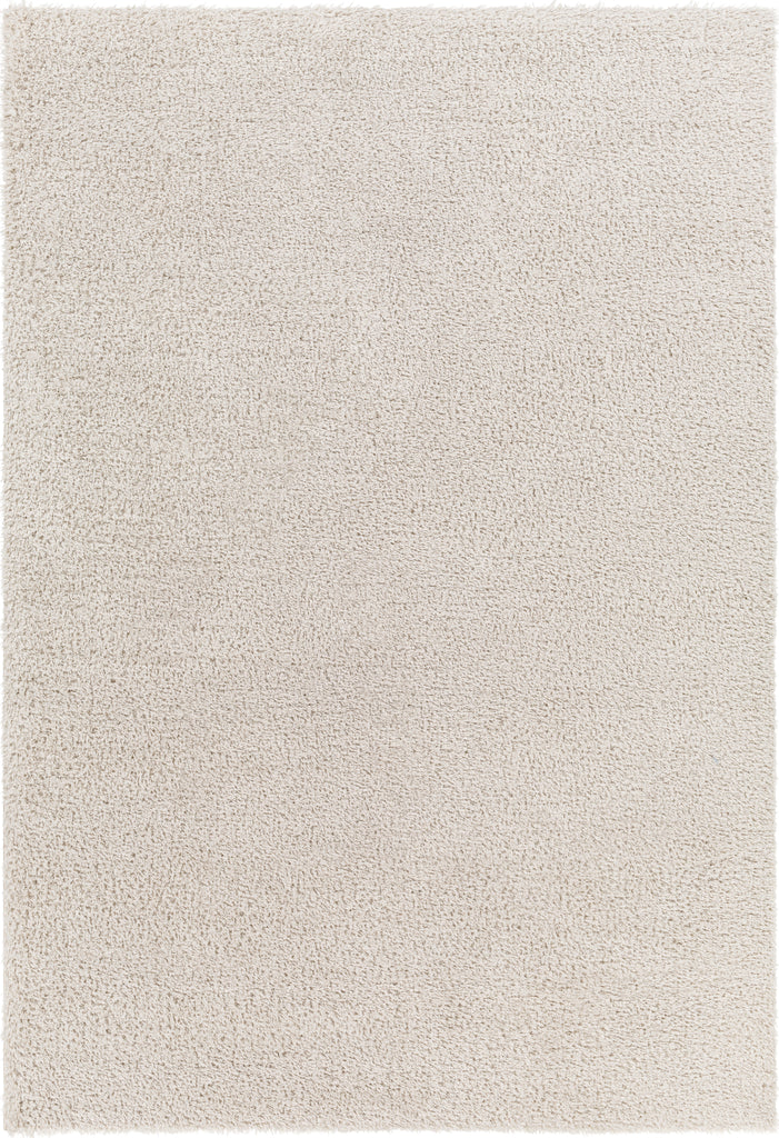 Surya Cloudy shag CDG-2301 Area Rug main image