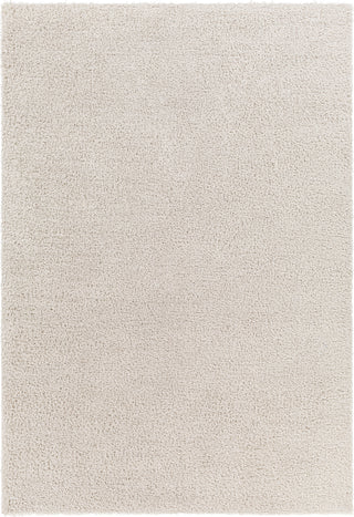 Surya Cloudy shag CDG-2301 Area Rug main image