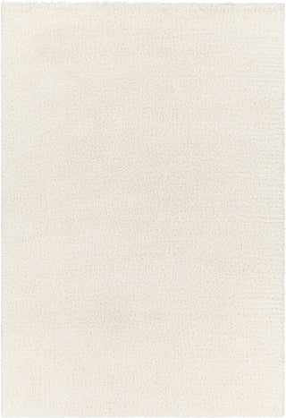 Surya Cloudy shag CDG-2302 Area Rug main image