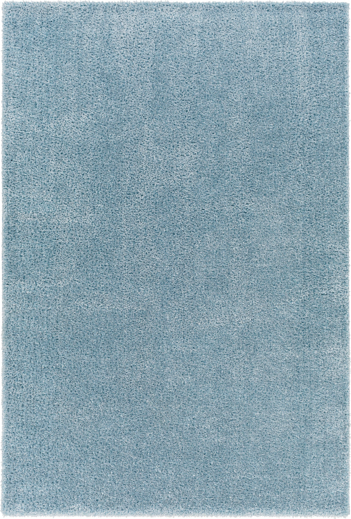 Surya Cloudy shag CDG-2305 Area Rug main image