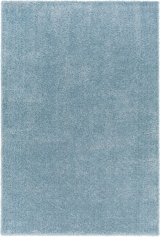 Surya Cloudy shag CDG-2305 Area Rug main image