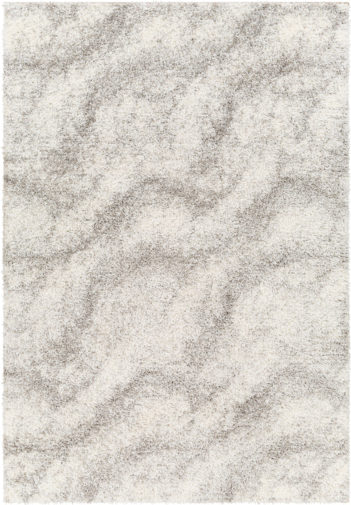 Surya Cloudy shag CDG-2306 Area Rug main image