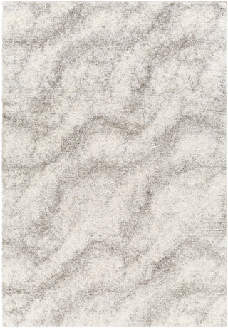 Surya Cloudy shag CDG-2306 Area Rug main image