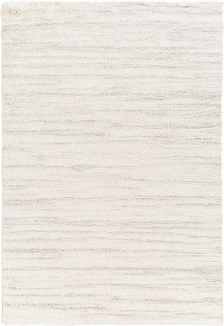 Surya Cloudy shag CDG-2307 Area Rug main image