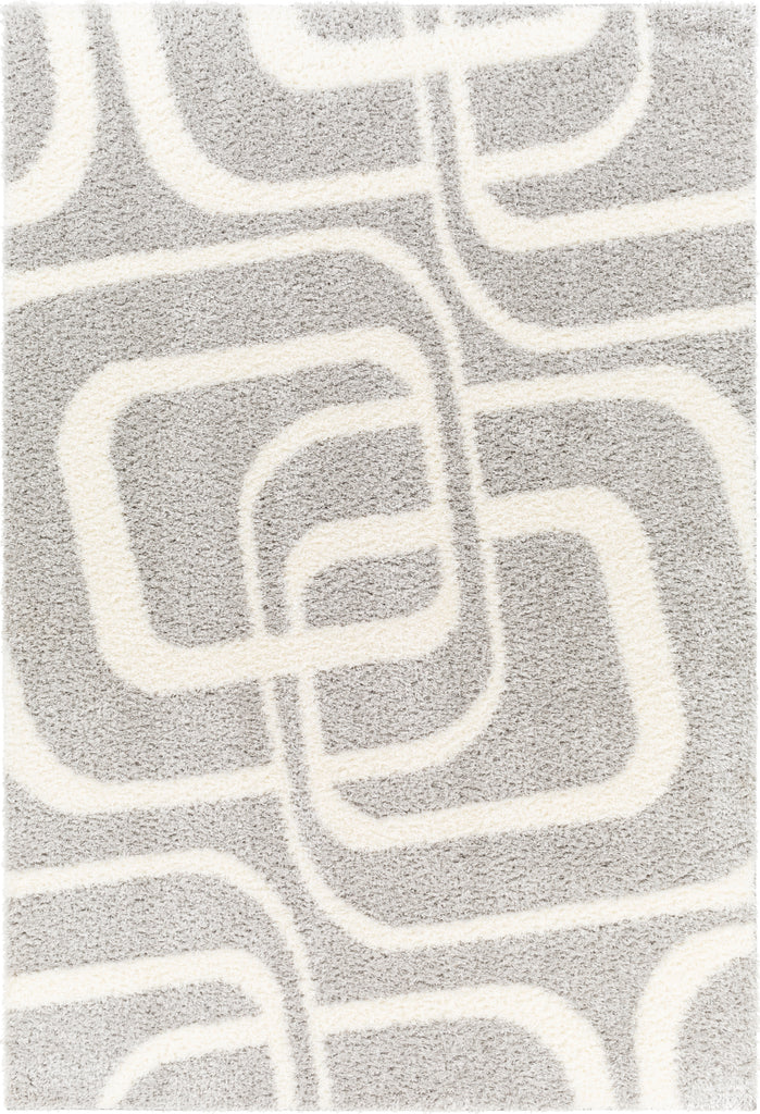 Surya Cloudy shag CDG-2310 Area Rug main image