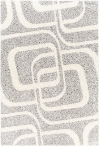 Surya Cloudy shag CDG-2310 Area Rug main image