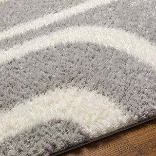 Surya Cloudy shag CDG-2310 Area Rug Detail