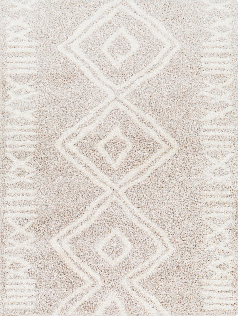 Surya Cloudy shag CDG-2311 Area Rug main image