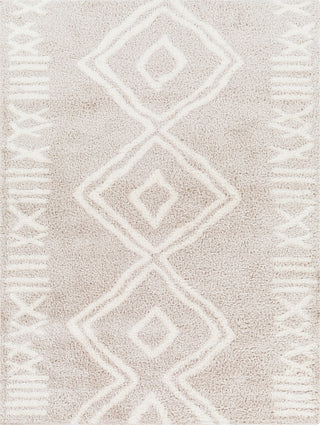 Surya Cloudy shag CDG-2311 Area Rug main image