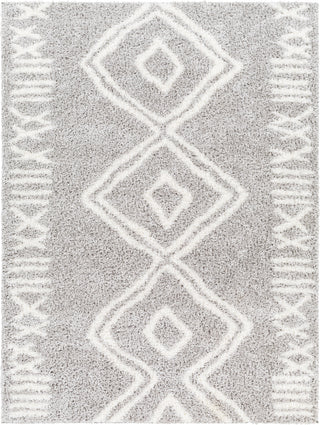 Surya Cloudy shag CDG-2312 Area Rug main image