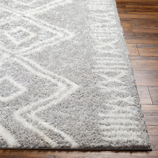 Surya Cloudy shag CDG-2312 Area Rug Angle