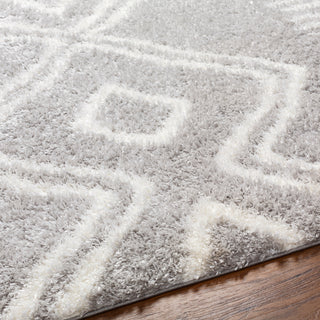 Surya Cloudy shag CDG-2312 Area Rug Detail