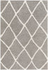 Surya Cloudy shag CDG-2313 Area Rug main image