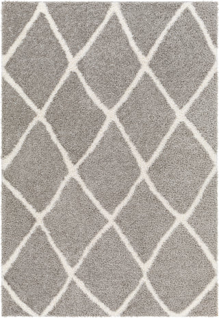 Surya Cloudy shag CDG-2313 Area Rug main image