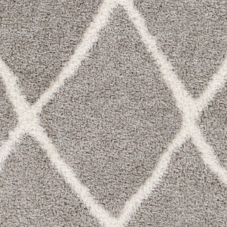 Surya Cloudy shag CDG-2313 Area Rug Swatch