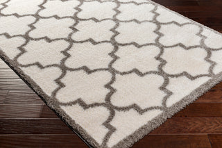 Surya Cloudy shag CDG-2314 Area Rug Corner Shot