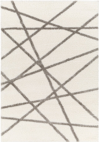 Surya Cloudy shag CDG-2316 Area Rug main image