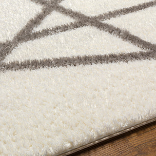 Surya Cloudy shag CDG-2316 Area Rug Detail