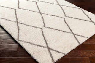 Surya Cloudy shag CDG-2317 Area Rug Corner Shot