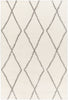 Surya Cloudy shag CDG-2317 Area Rug main image