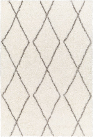 Surya Cloudy shag CDG-2317 Area Rug main image