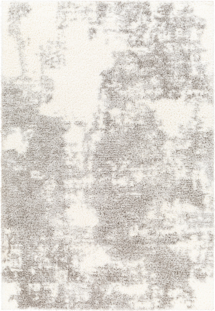 Surya Cloudy shag CDG-2318 Area Rug main image